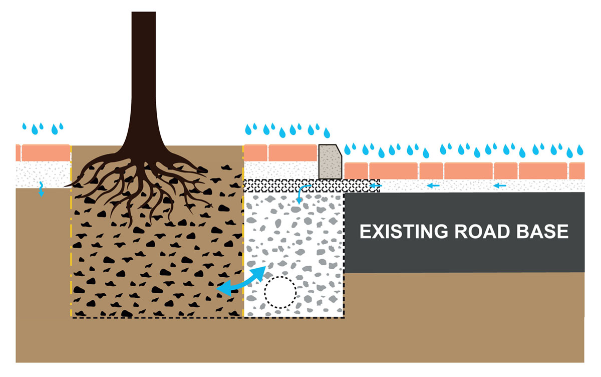 Permeable_paving_and_planting_3